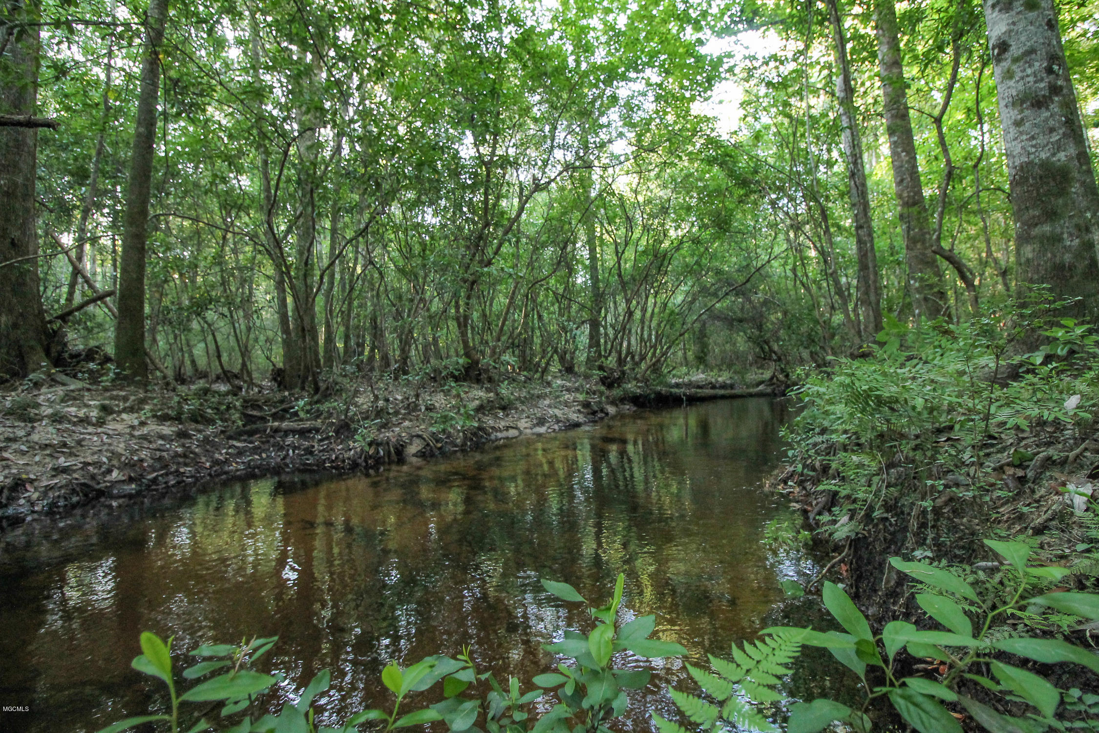 20-acres Hopper Road Lucedale, MS 39452 - Photo 1 of 28 20 acres-16