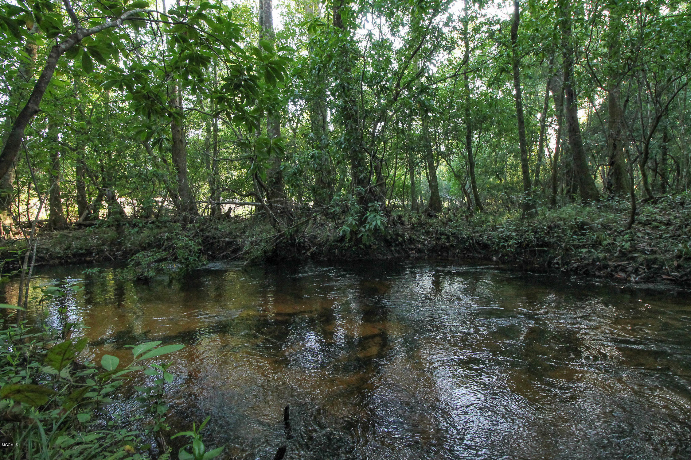 20-acres Hopper Road Lucedale, MS 39452 - Photo 16 of 28 20 acres-15