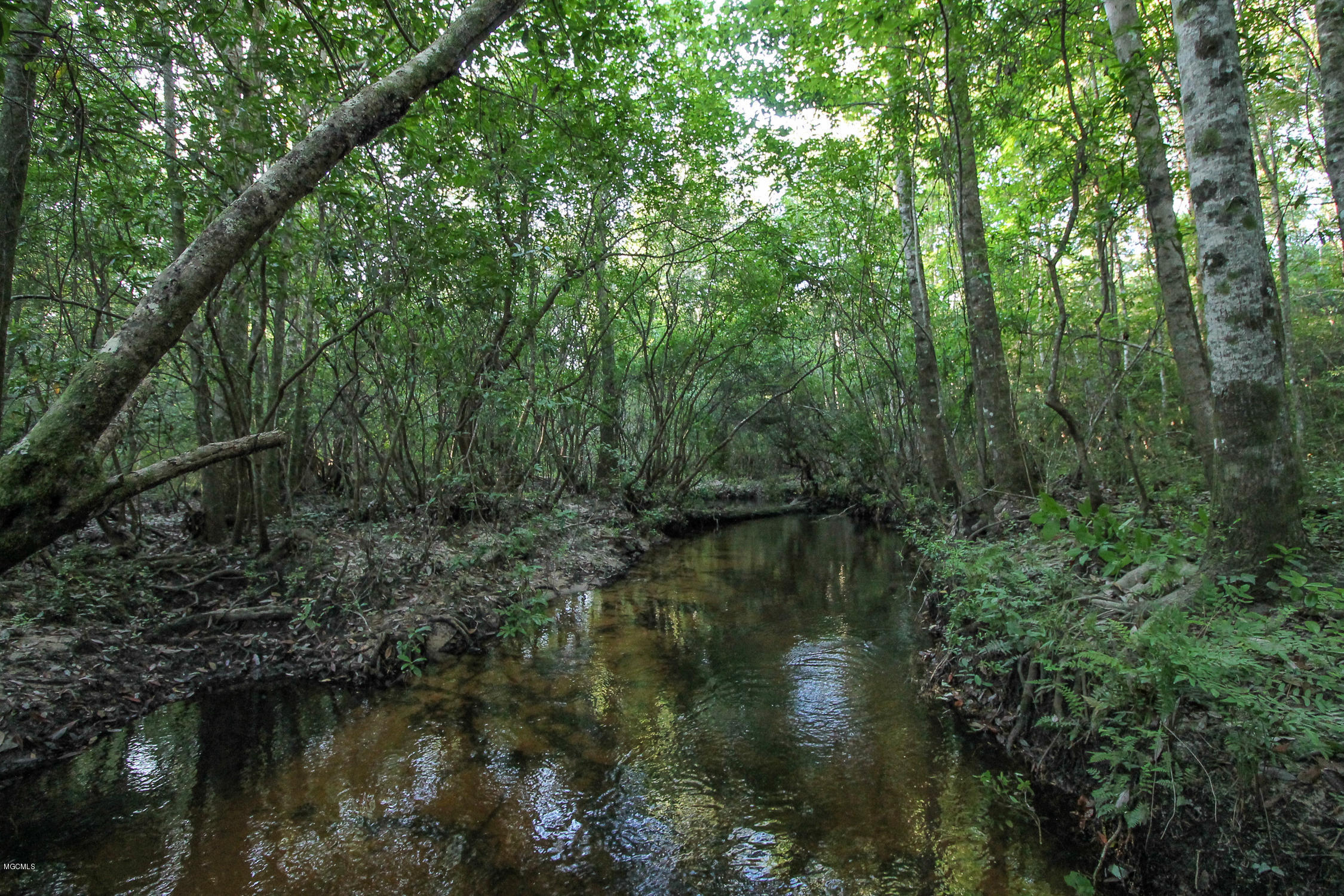 20-acres Hopper Road Lucedale, MS 39452 - Photo 17 of 28 20 acres-17