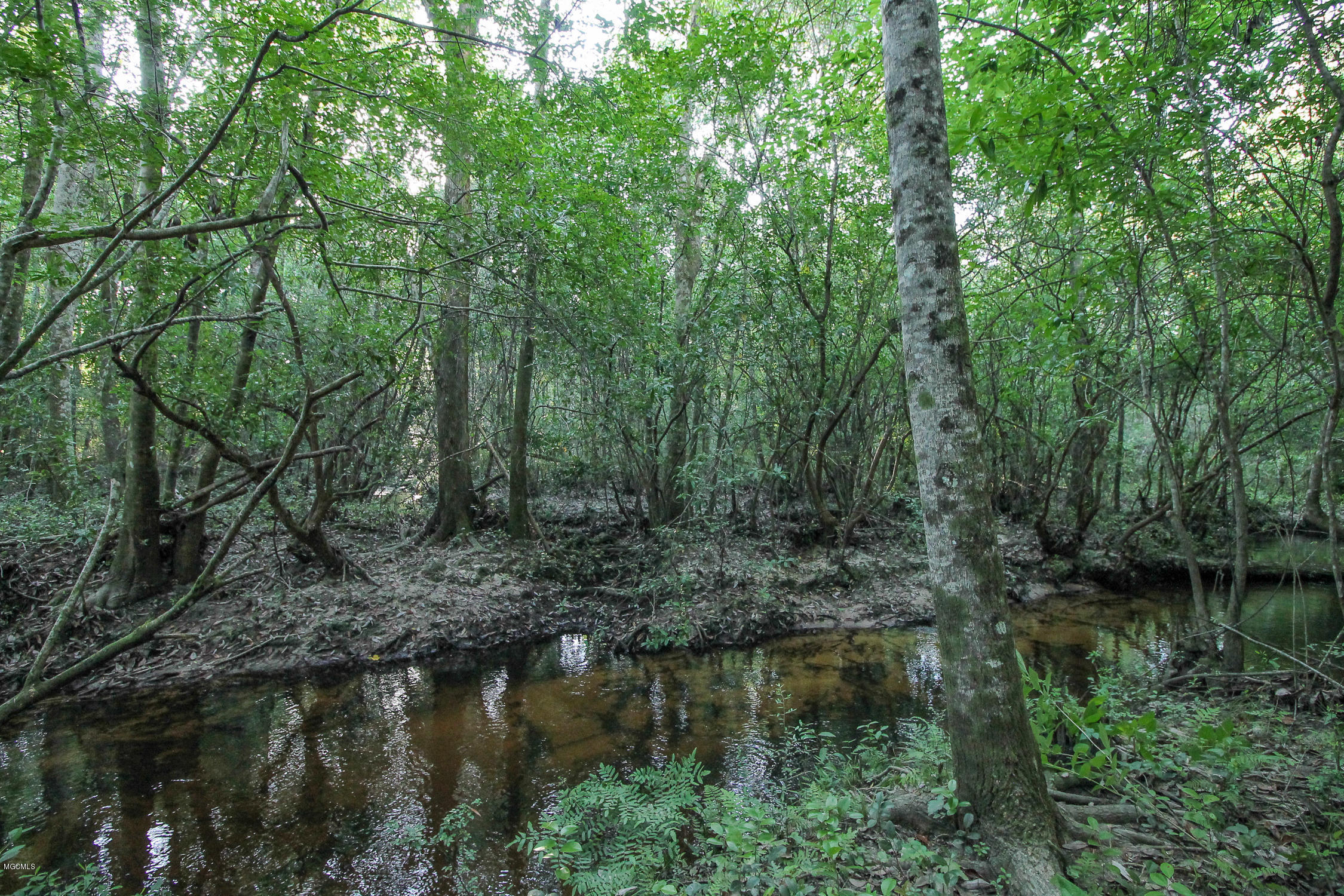 20-acres Hopper Road Lucedale, MS 39452 - Photo 18 of 28 20 acres-18
