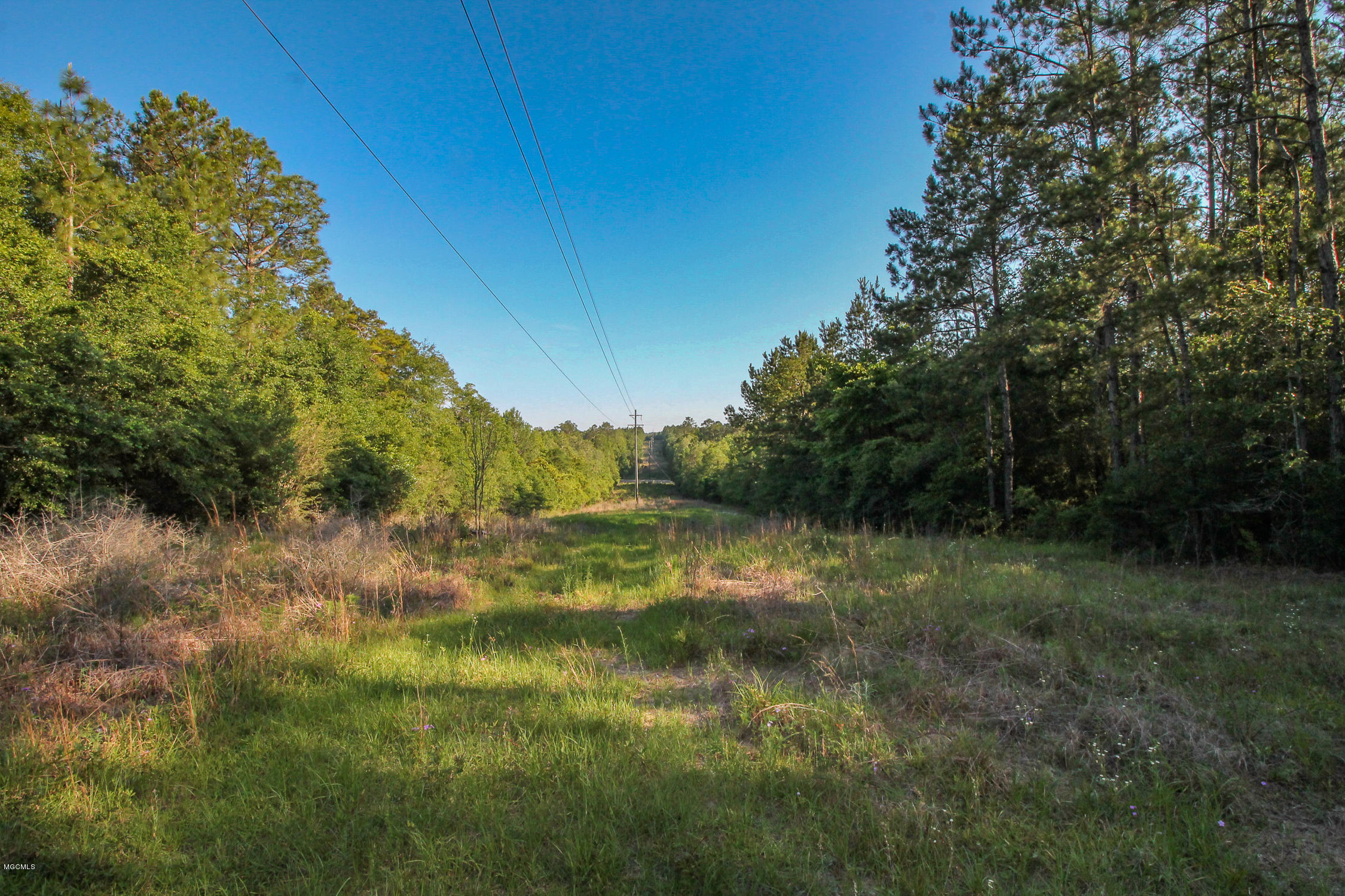 20-acres Hopper Road Lucedale, MS 39452 - Photo 2 of 28 20 acres-1