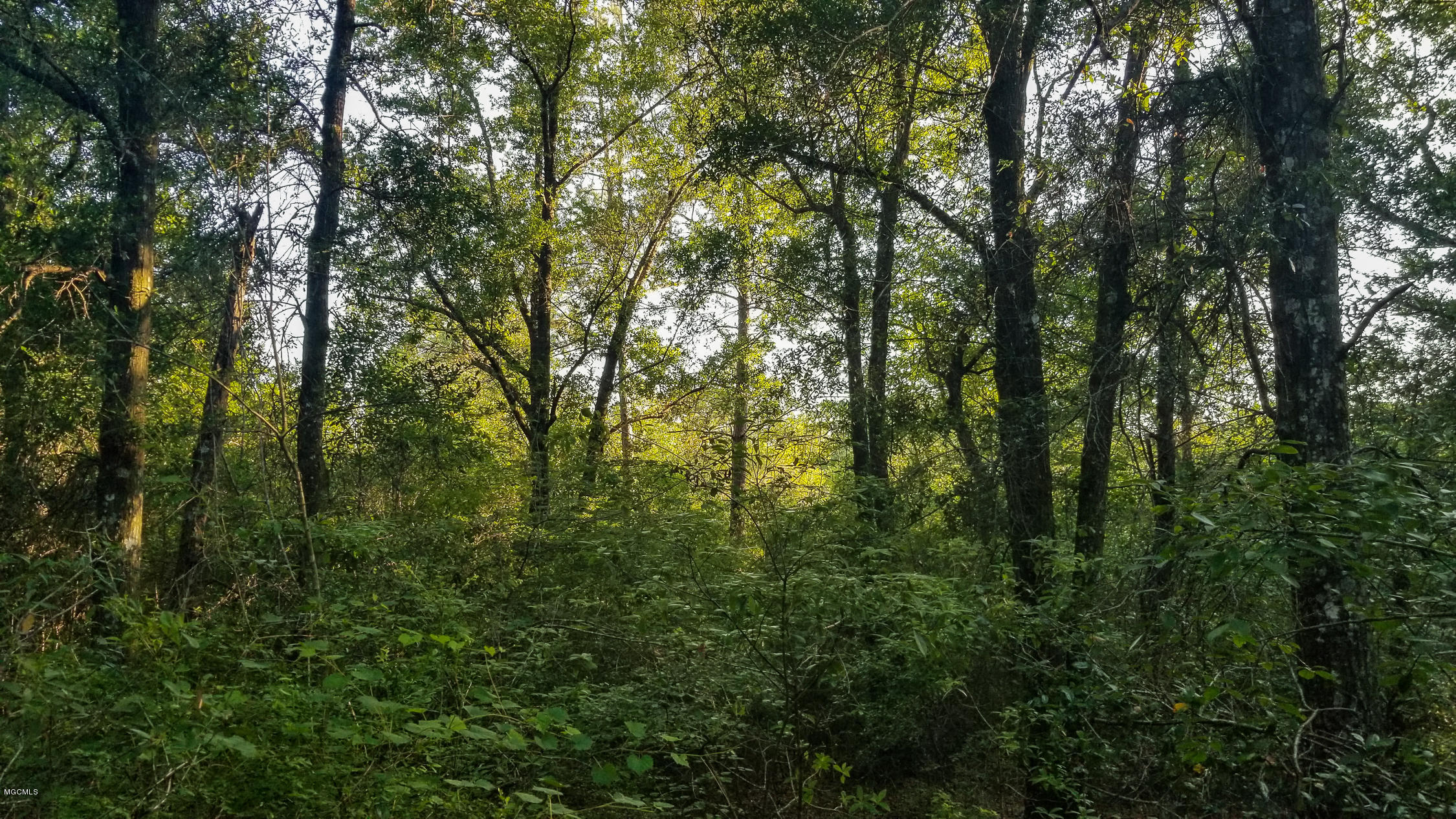 20-acres Hopper Road Lucedale, MS 39452 - Photo 27 of 28 20 acres-27