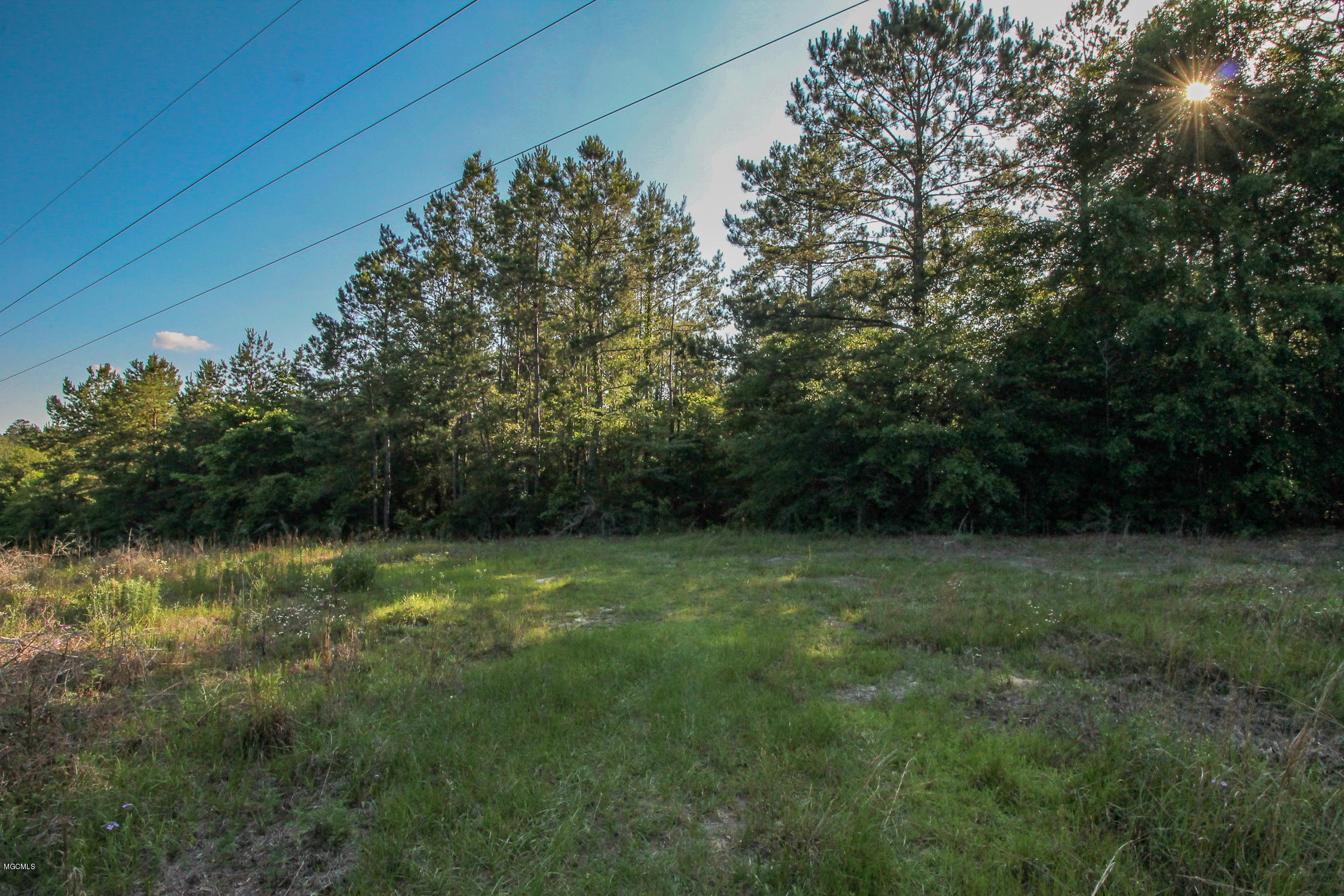 20-acres Hopper Road Lucedale, MS 39452 - Photo 3 of 28 20 acres-2