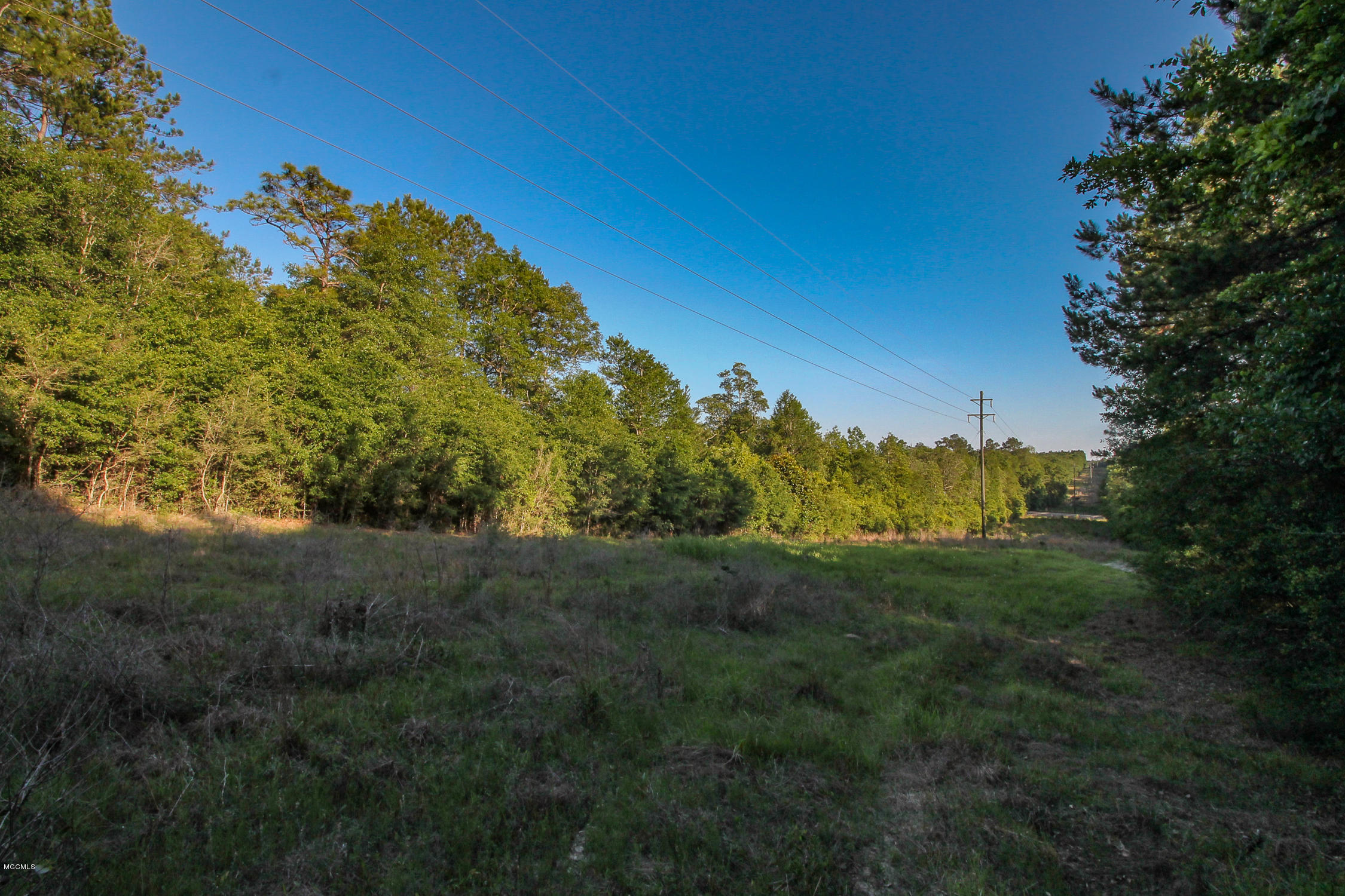 20-acres Hopper Road Lucedale, MS 39452 - Photo 8 of 28 20 acres-7