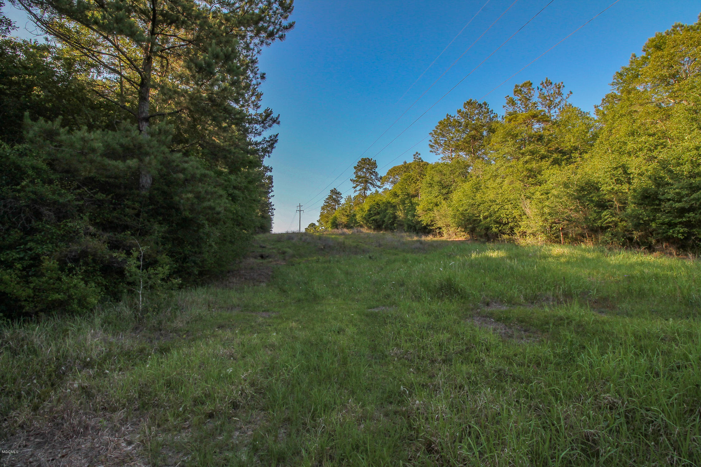 20-acres Hopper Road Lucedale, MS 39452 - Photo 9 of 28 20 acres-8