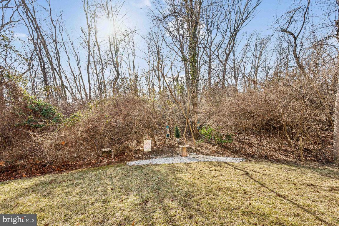 12 Wallace Road Mount Holly, NJ 08060 - Photo 11 of 25 a view of a yard with trees