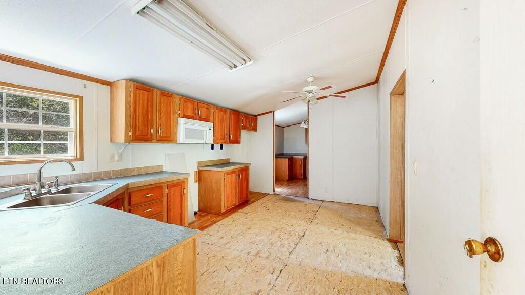 1161 Essary Road Tazewell, TN 37879 - Photo 13 of 22 tempImageT0UIK8