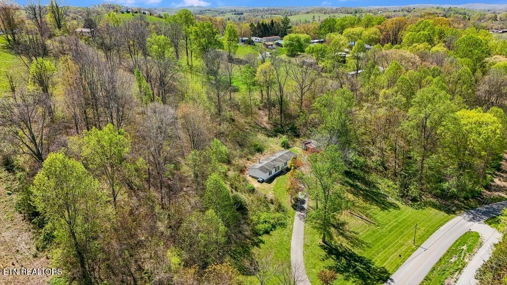 1161 Essary Road Tazewell, TN 37879 - Photo 4 of 22 tempImagepoTQ82