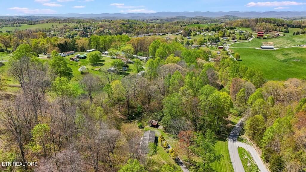 1161 Essary Road Tazewell, TN 37879 - Photo 6 of 22 tempImageEnkSkX