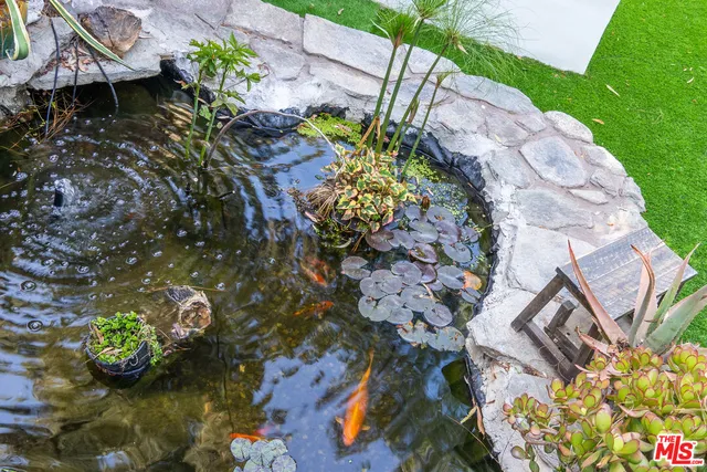 front view of a house with a tree