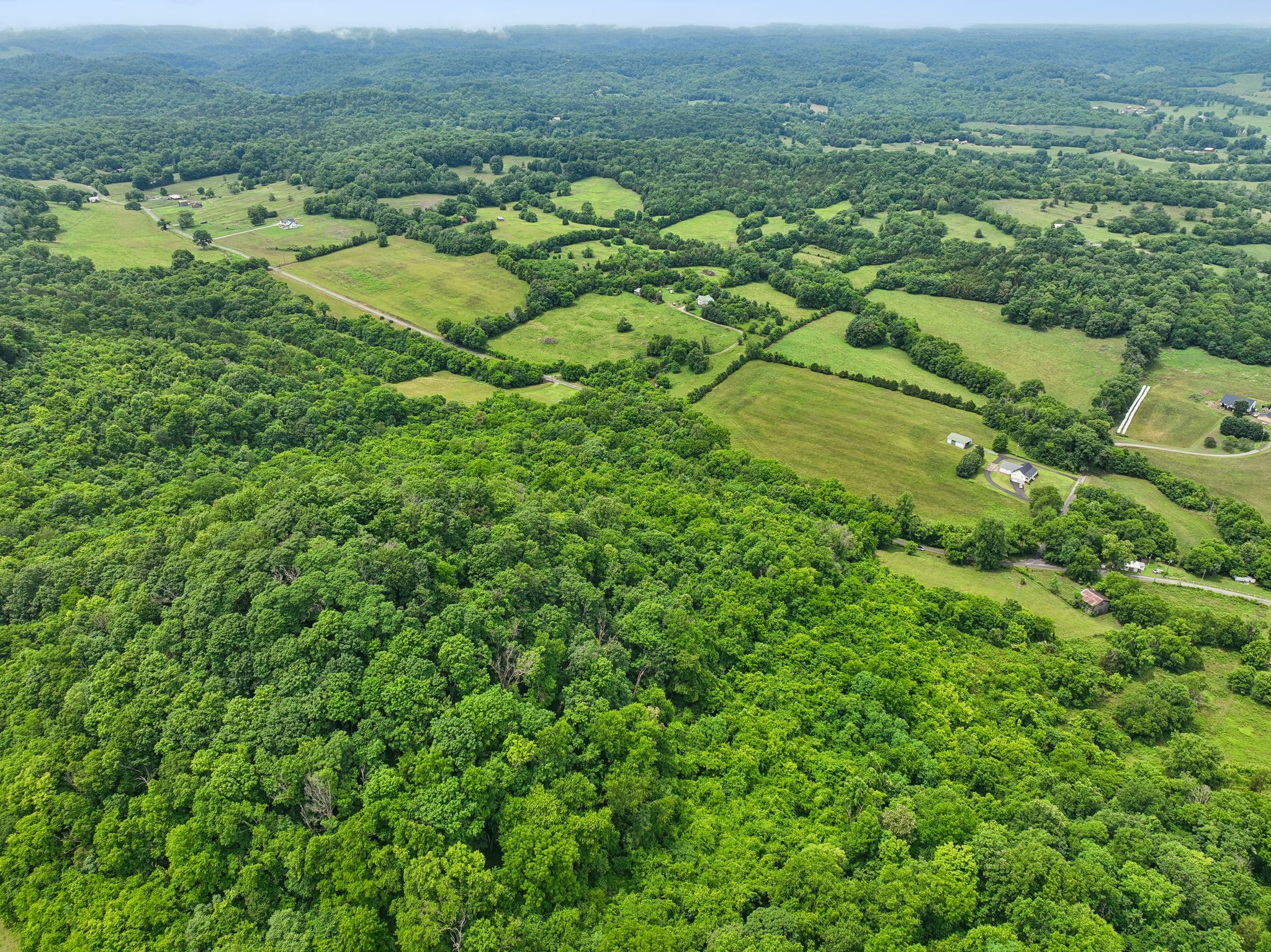 0 Little Salt Lick Creek Road Carthage, TN 37030 - Photo 13 of 17
