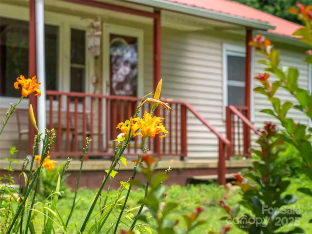 a view of a house with potted plants