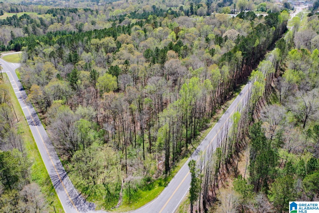 0 County Road 15 Locust Fork, AL 35097 - Photo 10 of 14