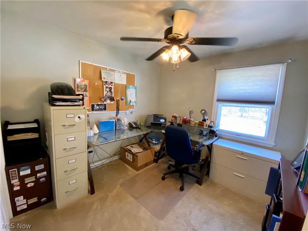 3444 Niles Carver Road Mineral Ridge, OH 44440 - Photo 23 of 29 Bedroom #4/Large home office