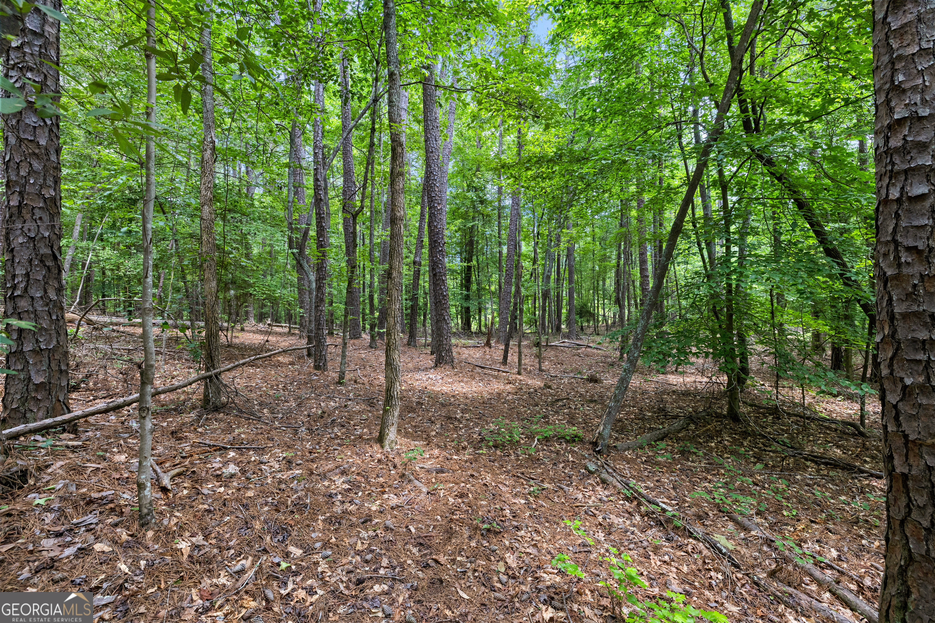 0 Terry Road Fairburn, GA 30213 - Photo 4 of 22