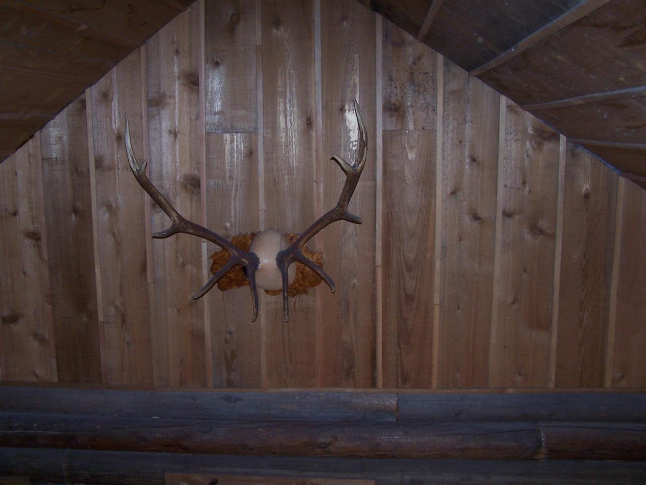 23672 LeClerc Road North Ione, WA 99139 - Photo 11 of 20 Gallery Image 11