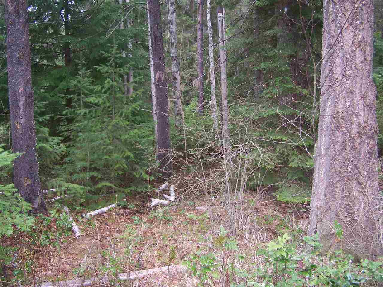23672 LeClerc Road North Ione, WA 99139 - Photo 20 of 20 Gallery Image 20