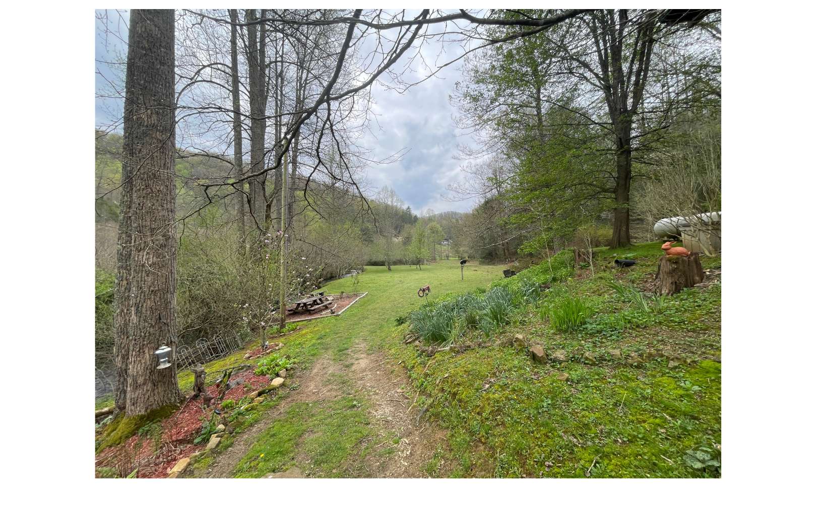 1936 Greasy Creek Road Murphy, NC 28906 - Photo 13 of 31 Additional View
