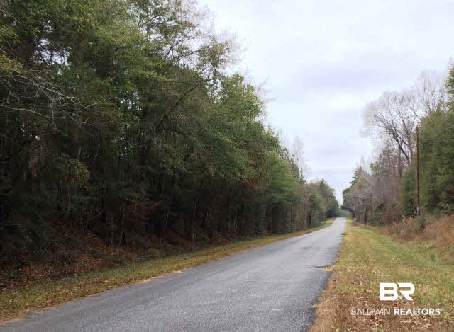 0 Legion Road Camden, AL 36726 - Photo 2 of 9