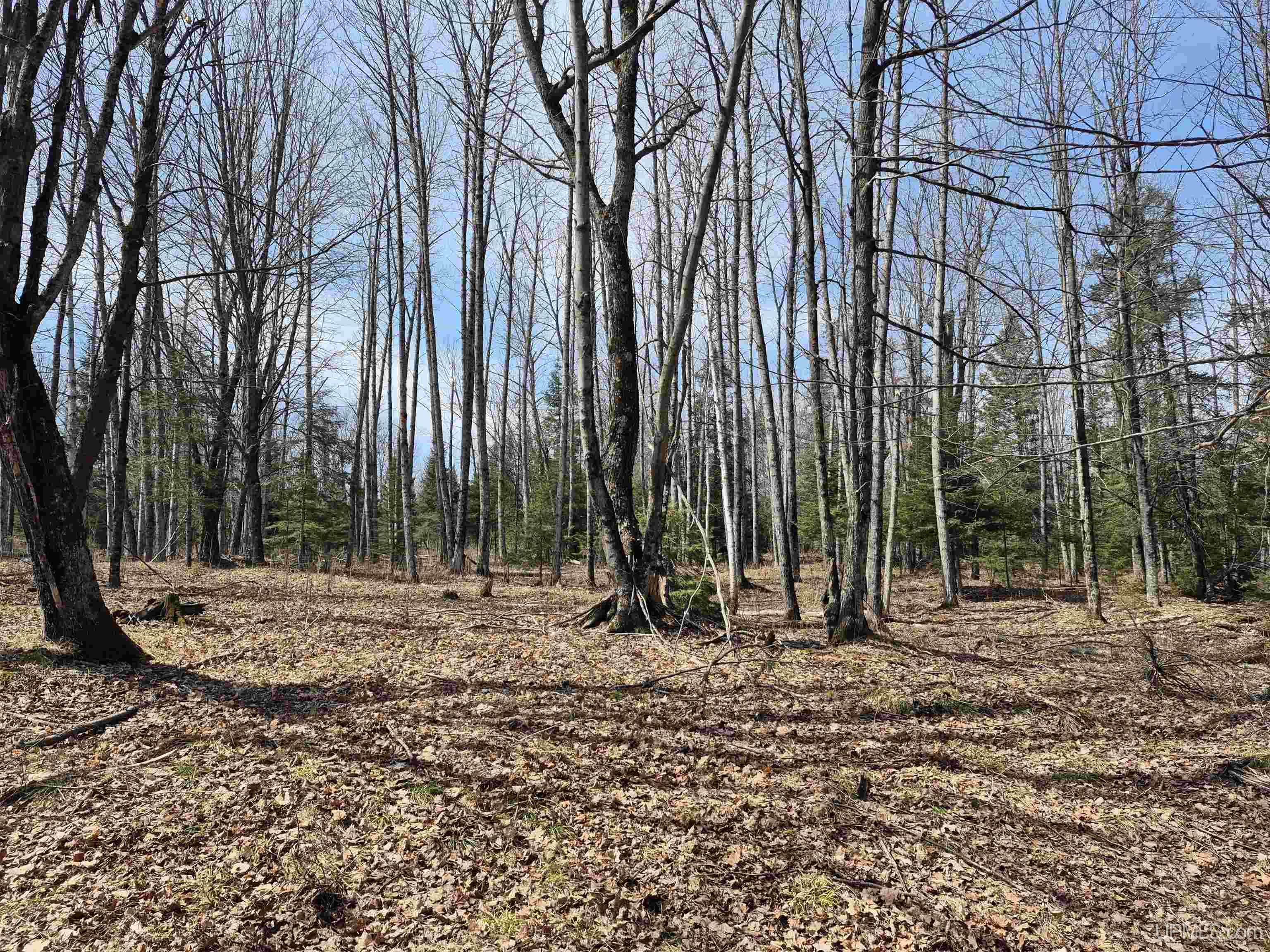 30-acres Turner Road Channing, MI 49815 - Photo 2 of 33