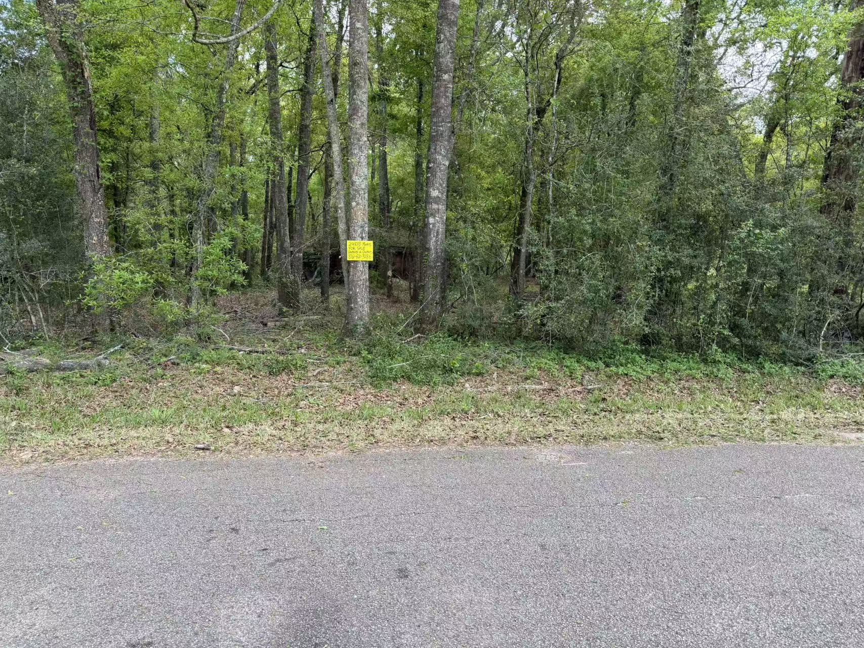 24838 Marks Road Splendora, TX 77372 - Photo 1 of 7 a view of a forest with a trees
