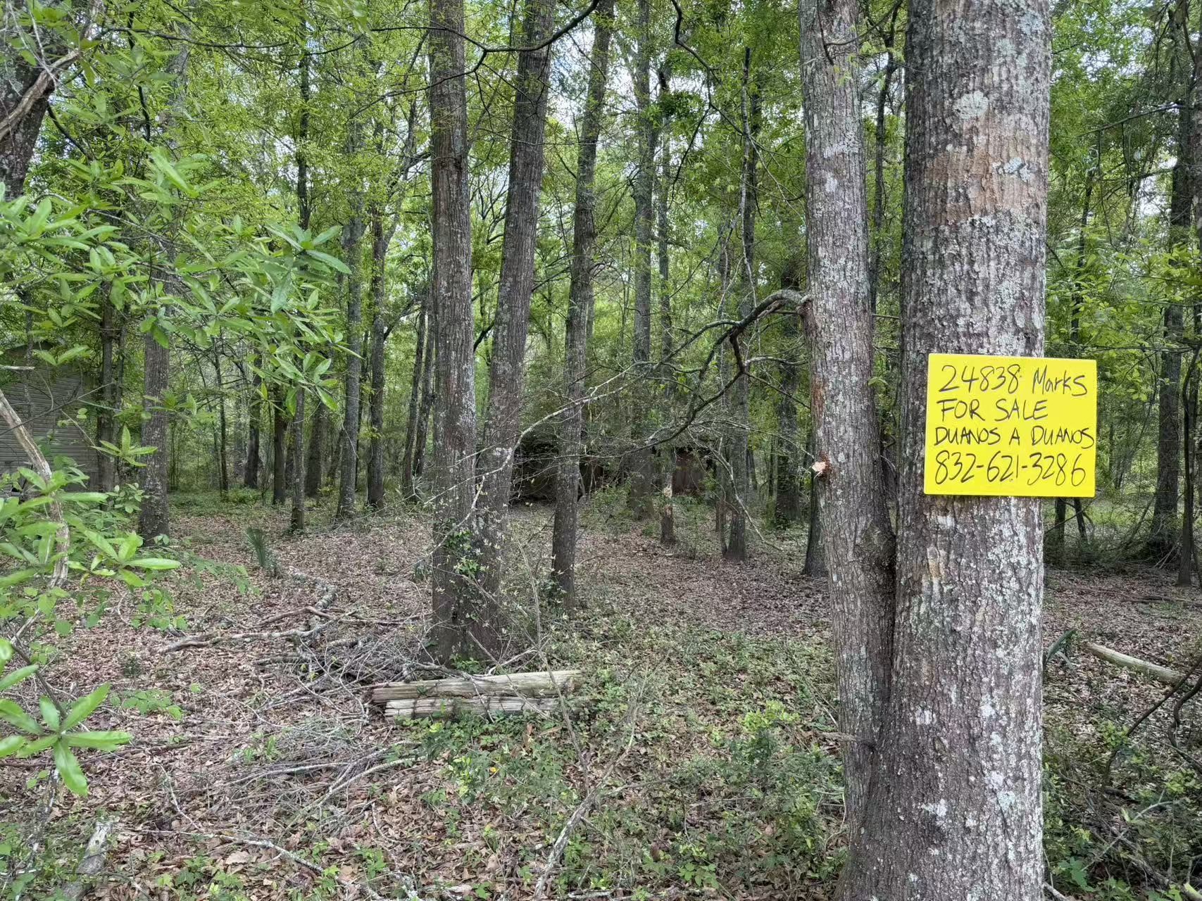 24838 Marks Road Splendora, TX 77372 - Photo 4 of 7 a view of a park & trees