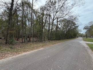 24838 Marks Road Splendora, TX 77372 - Photo 7 of 7 a view of a out door space area