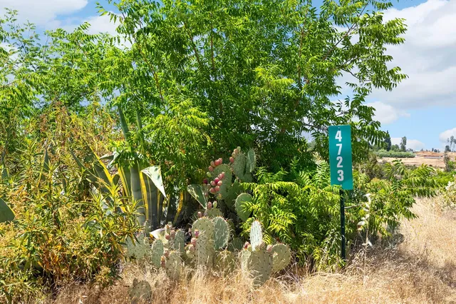 a view of an ocean beach and city
