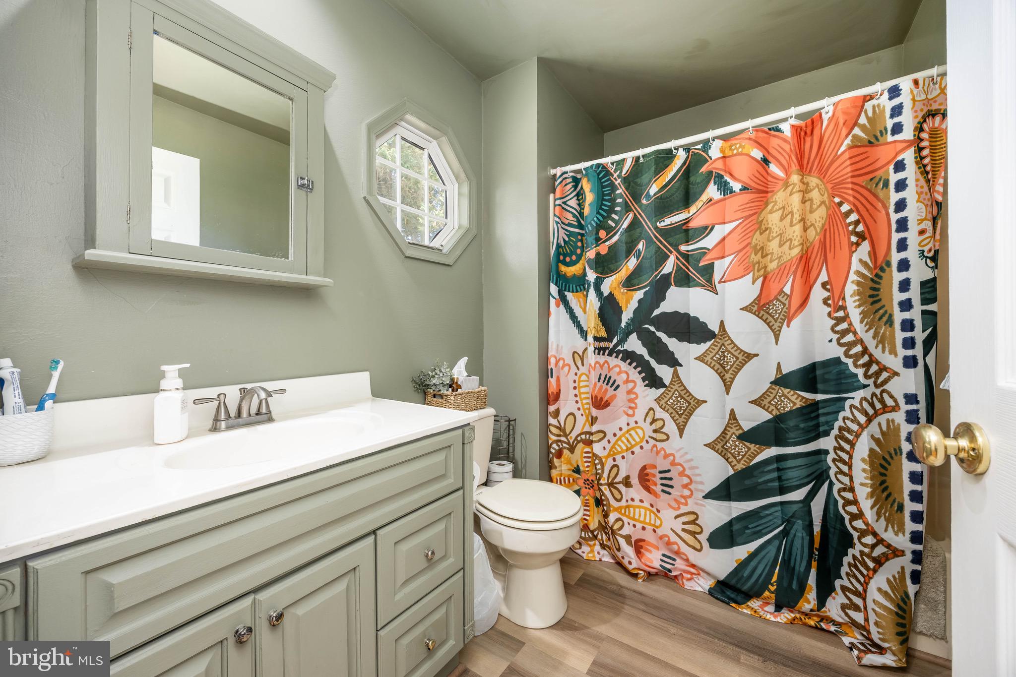 26882 Pratt Road Salisbury, MD 21801 - Photo 36 of 80 a bathroom with a sink and a mirror