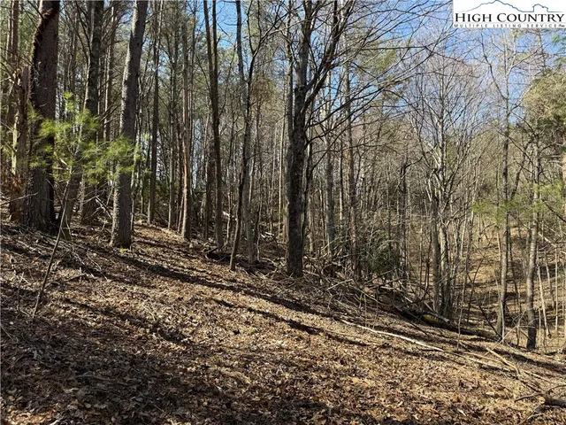 a view of a backyard of the house