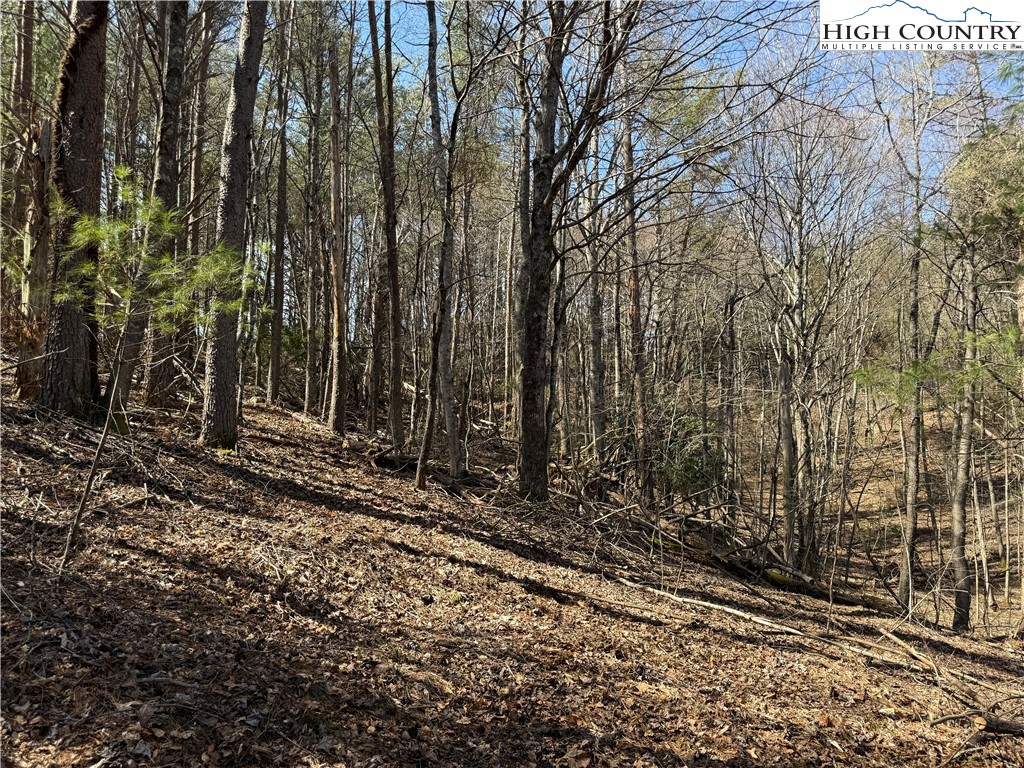 Tbd Lot 30 Tbd Trail Jefferson, NC 28640 - Photo 2 of 12 a view of a backyard of the house