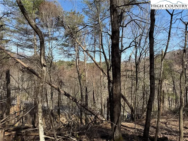 a view of a tree in the middle of the house