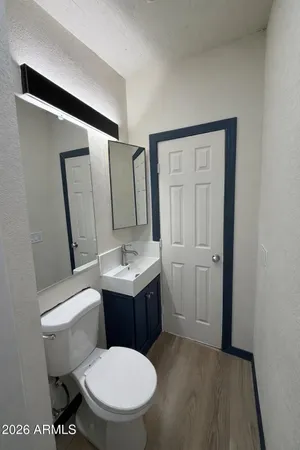 a bathroom with a toilet a sink and mirror