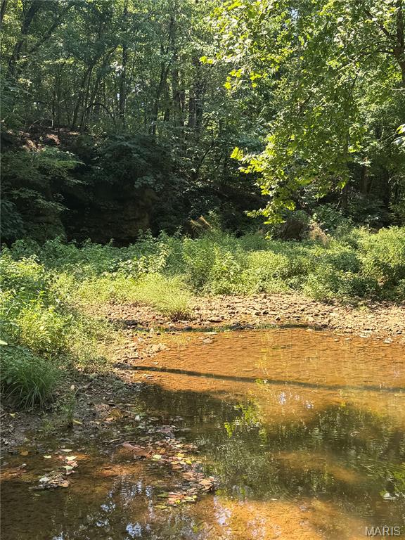 9007 Crossman Road Bonne Terre, MO 63628 - Photo 41 of 55 Gallery Image 41