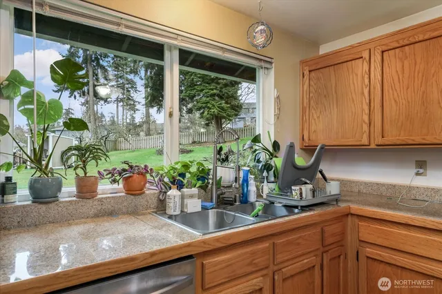 a kitchen with a potted plant on the counter and cabinets