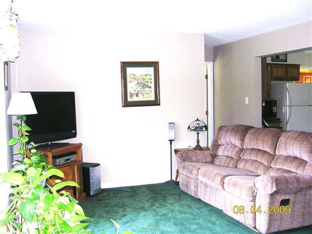 147 Cumo Road Johnsonville, NY 12094 - Photo 5 of 12 Photo 5