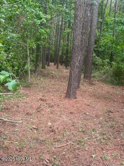 312 Riversound Drive Edenton, NC 27932 - Photo 3 of 12 Lot 222 Partially Cleared