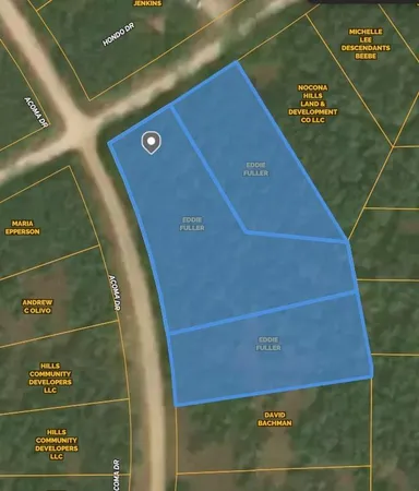 a view of a yard with a plant