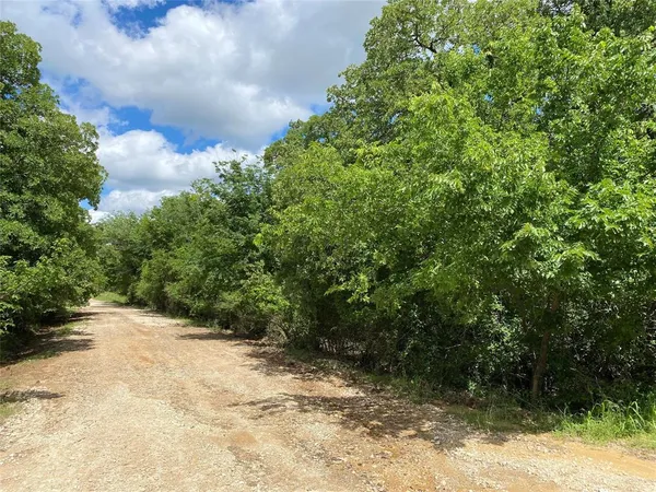 a view of a tree in a yard