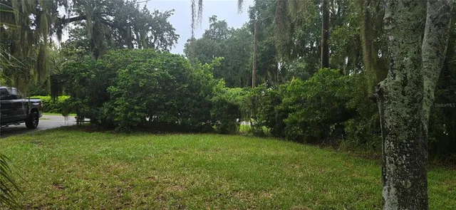 a view of a green yard with large trees