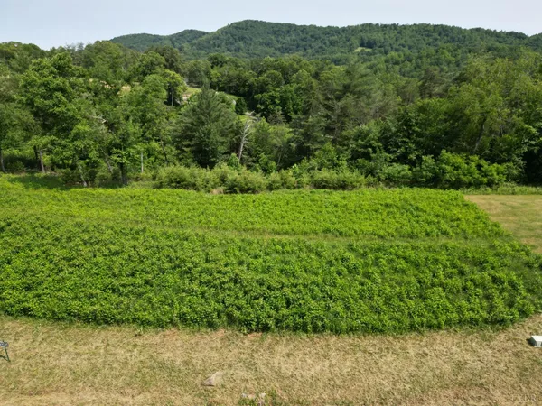 $50,000 | 31 River Rock Road, Vinton, VA 24179