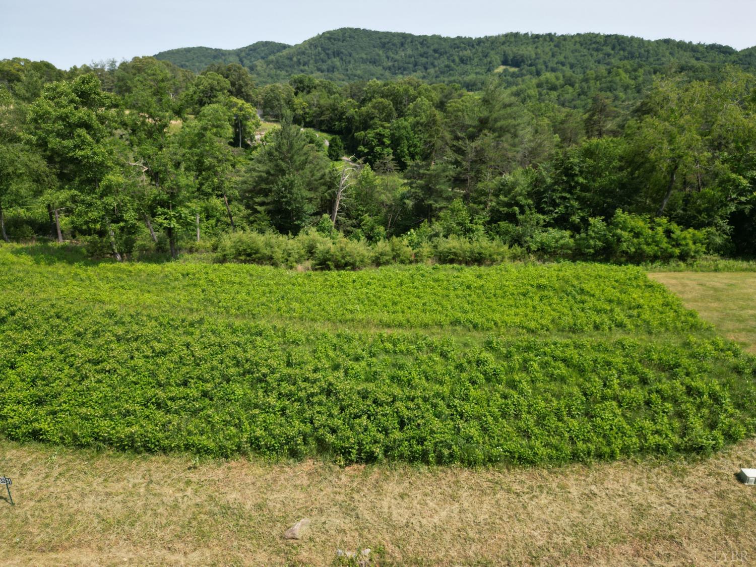 31 River Rock Road Vinton, VA 24179 - Photo 3 of 10