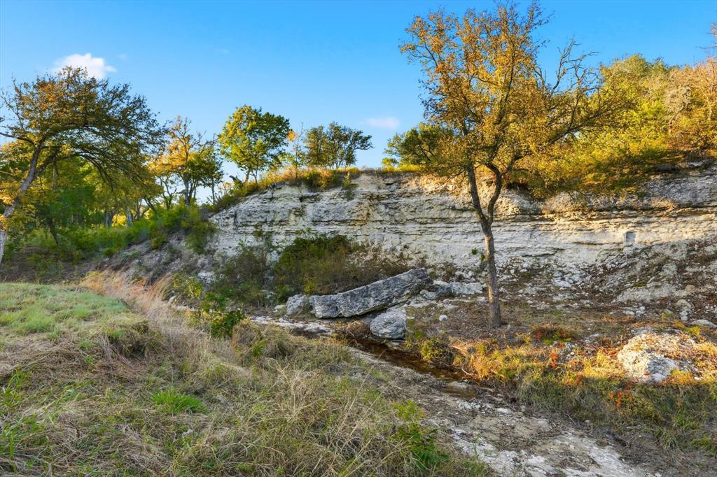 2401 Bear Creek Road Aledo, TX 76008 - Photo 11 of 37 View of local wilderness