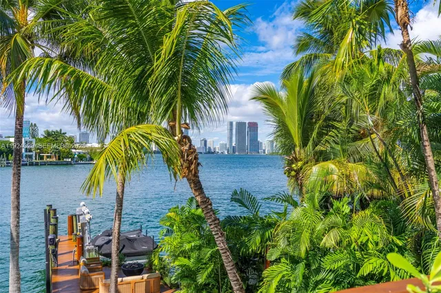 a view of a palm plant that is in front of house