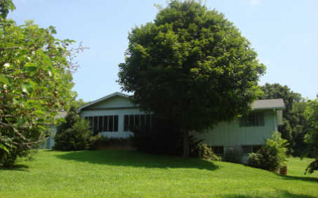 87 Appletree Lane Murphy, NC 28906 - Photo 1 of 1 Main View