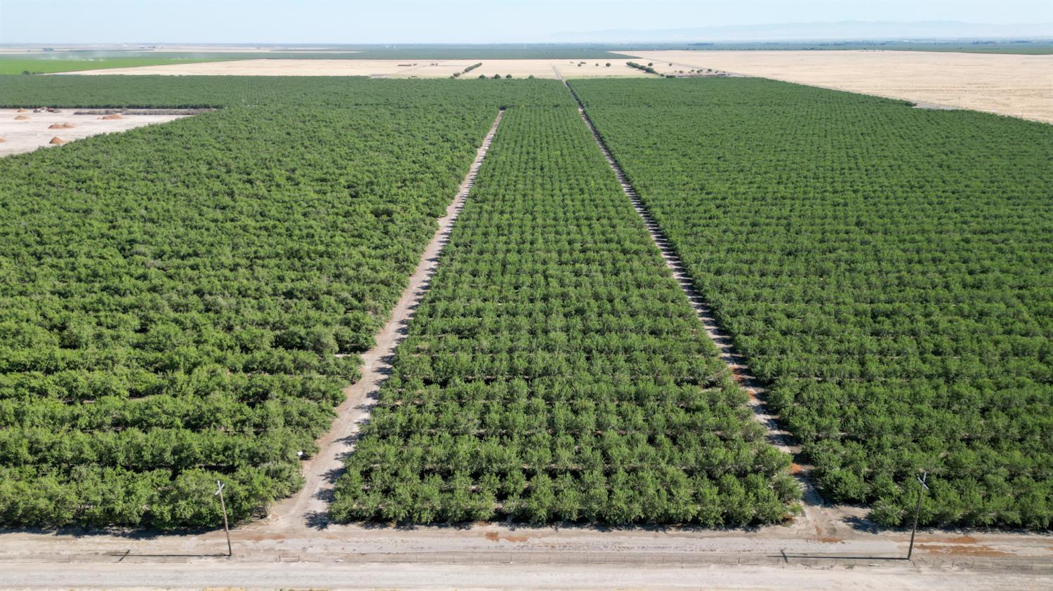 11885 Road 9 Madera, CA 93637 - Photo 4 of 12 a view of yard