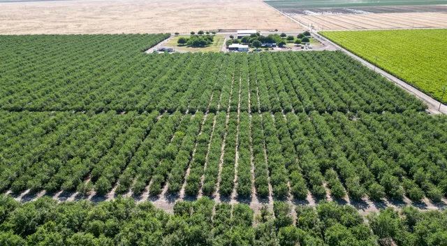 a view of a garden with a building