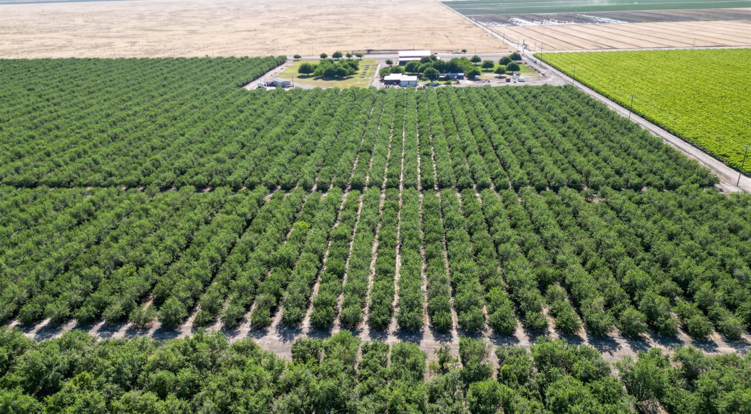 11885 Road 9 Madera, CA 93637 - Photo 5 of 12 a view of a garden with a building