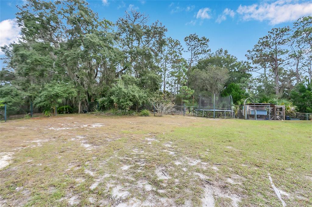 1795 Brumley Road Chuluota, FL 32766 - Photo 34 of 41 a view of a yard with a tree