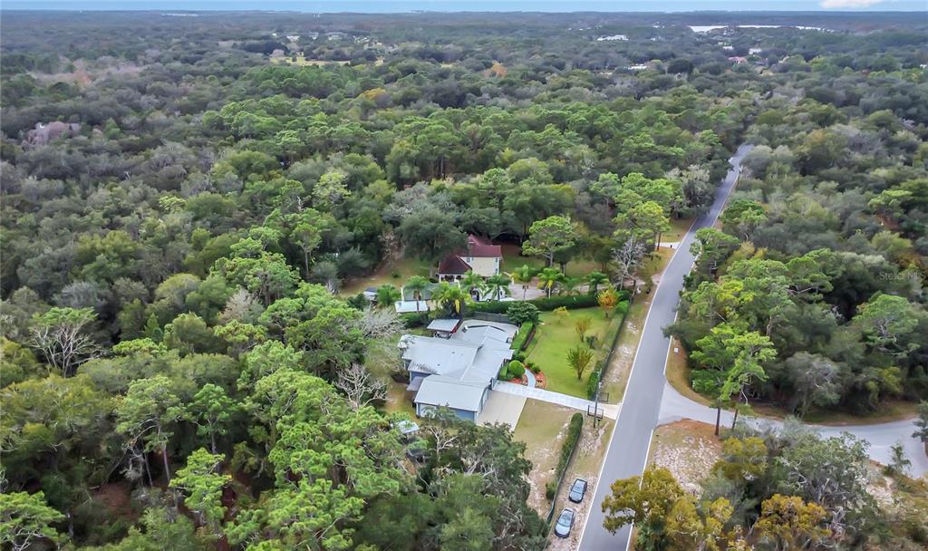 1795 Brumley Road Chuluota, FL 32766 - Photo 39 of 41 an aerial view of a house with a yard